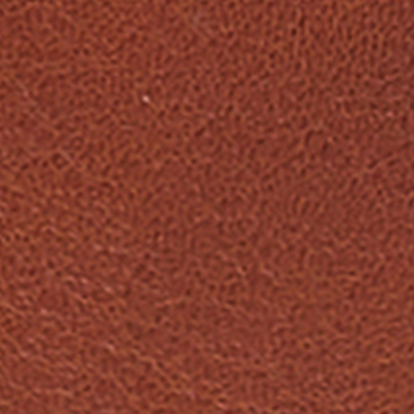 Ceinture Ines - Cognac