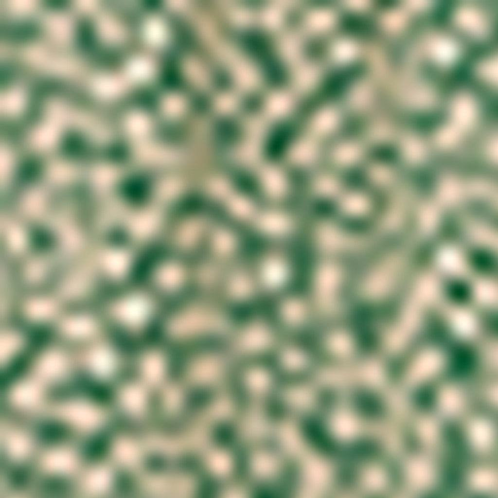 Robe Junon - Vert