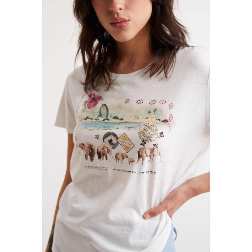 T-Shirt Acacia - Ecru