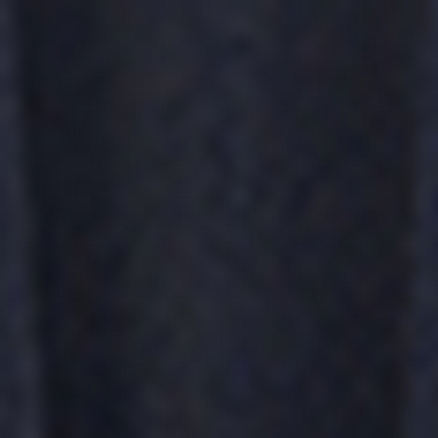 Pull - Gilet Lahina - Indigo