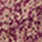 Robe Jameson - Fuchsia