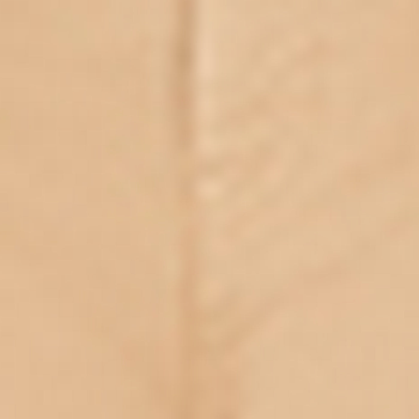 Pantalon Jean Carance - Sable