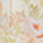 Robe Edynn - Multicolore