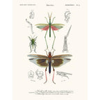 Sciences Naturelles - Truxale