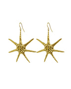 Boucles D'Oreilles Star
