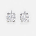 Boucles D'Oreille "Puces 2Ct" - Or Blanc