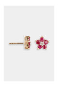 Boucles D'Oreilles "Fleur Mystérieuse" D0,07/2 R1,30/10