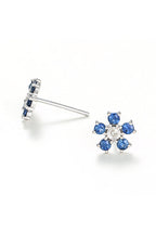 Boucles D'Oreilles "Clématite" D0,05/2 S0,80/10