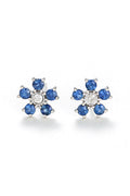 Boucles D'Oreilles "Clématite" D0,05/2 S0,80/10