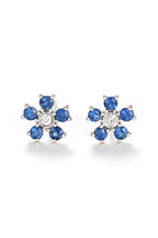 Boucles D'Oreilles "Clématite" D0,05/2 S0,80/10