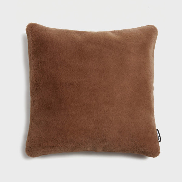 Coussin Jules