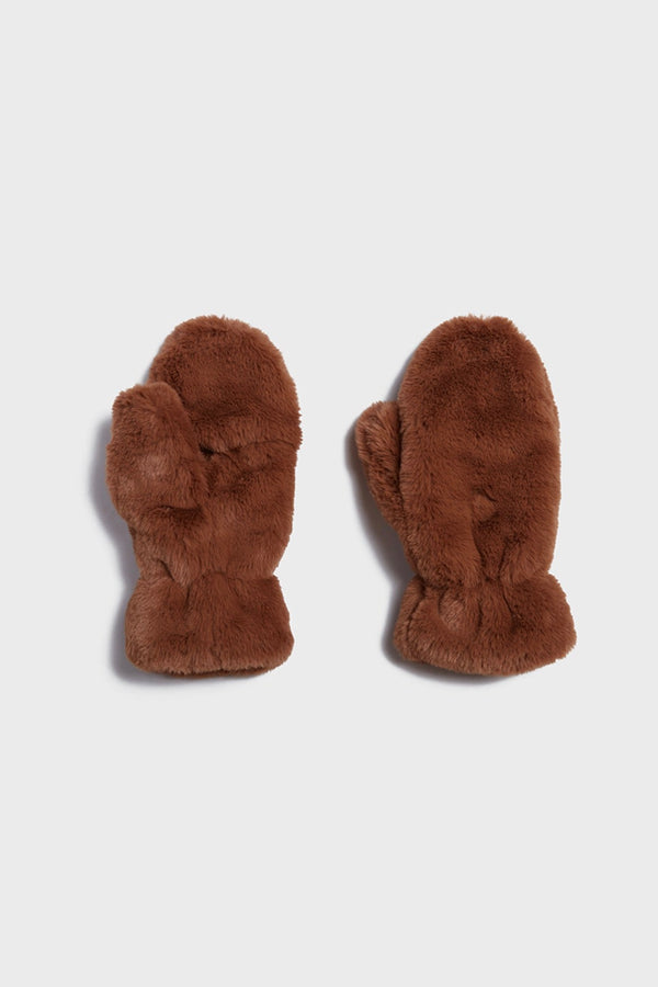 Coco Camel