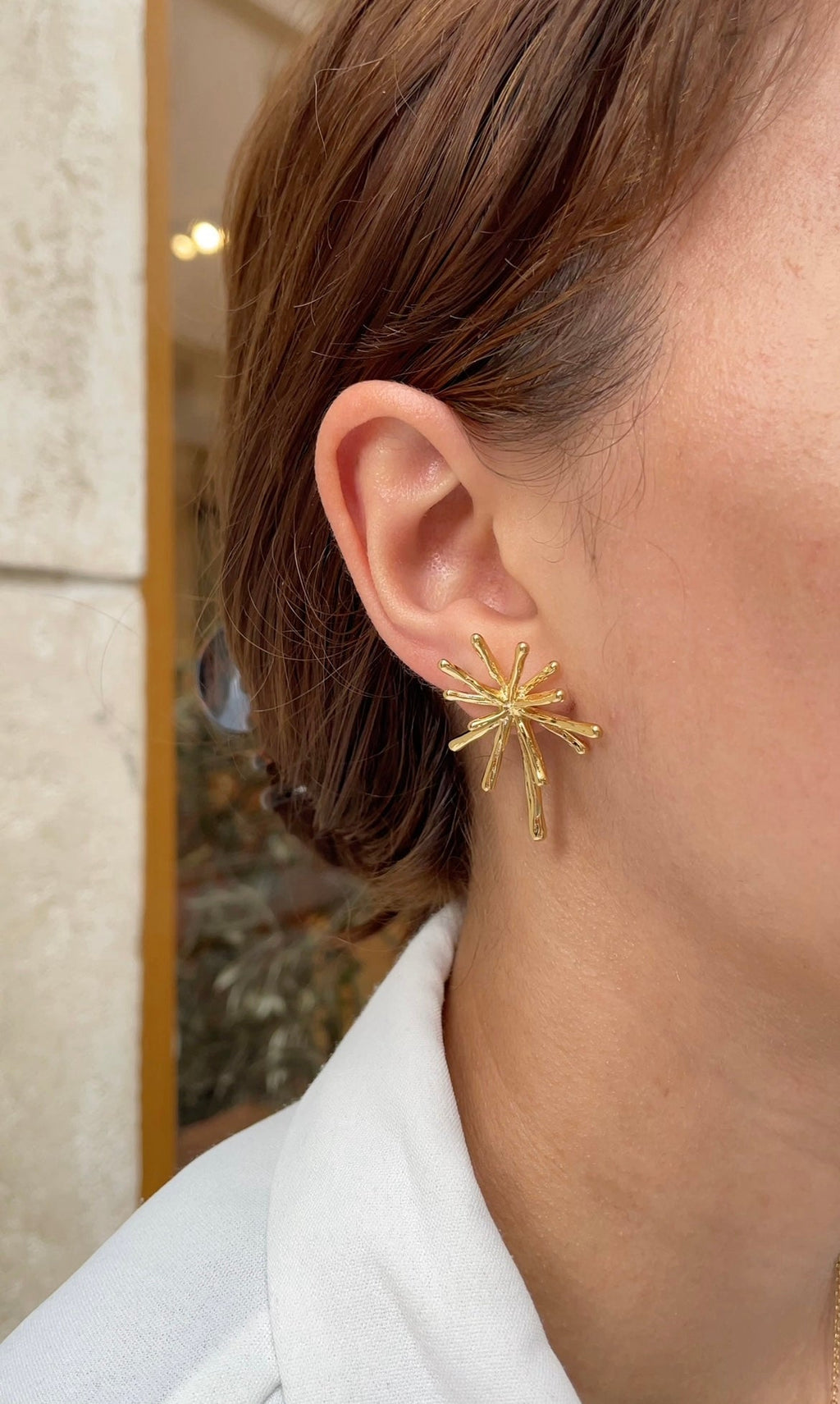 Boucles D'Oreilles Polar