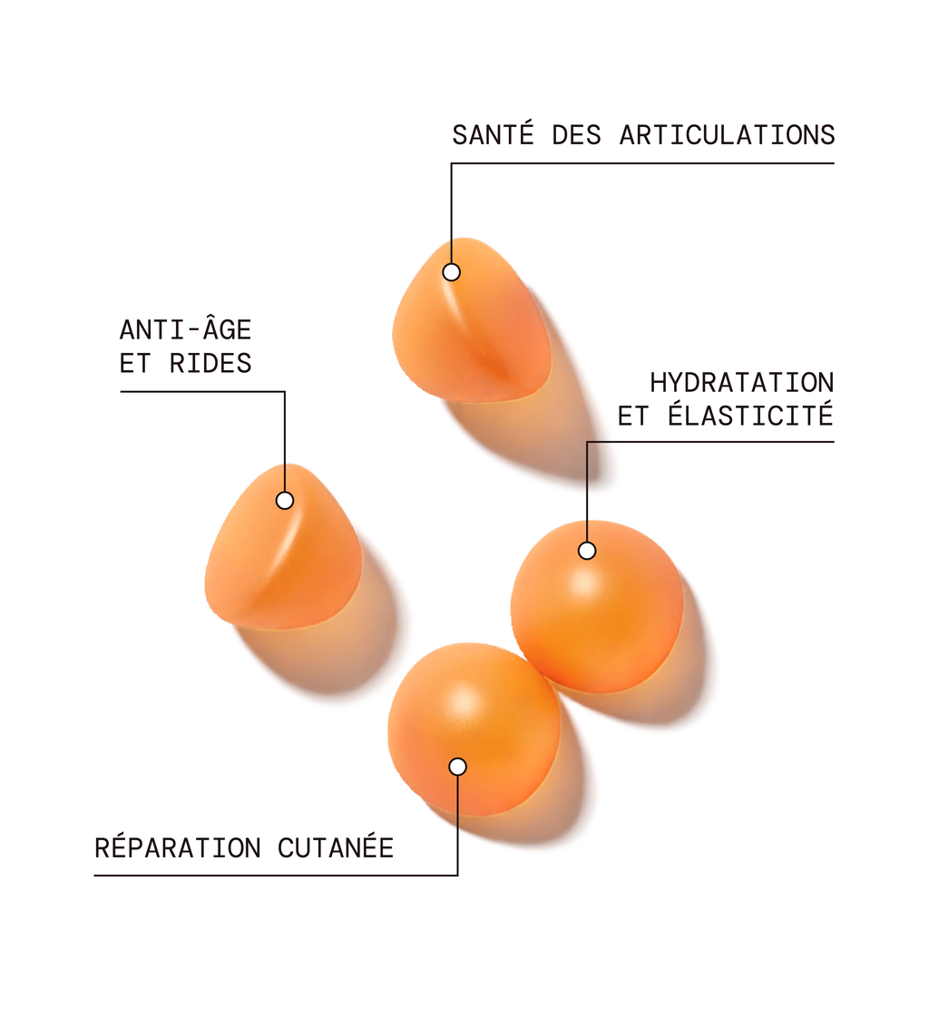 Pack Glow Up : Acide Hyaluronique, Collagène Vg, Cheveux & Ongles