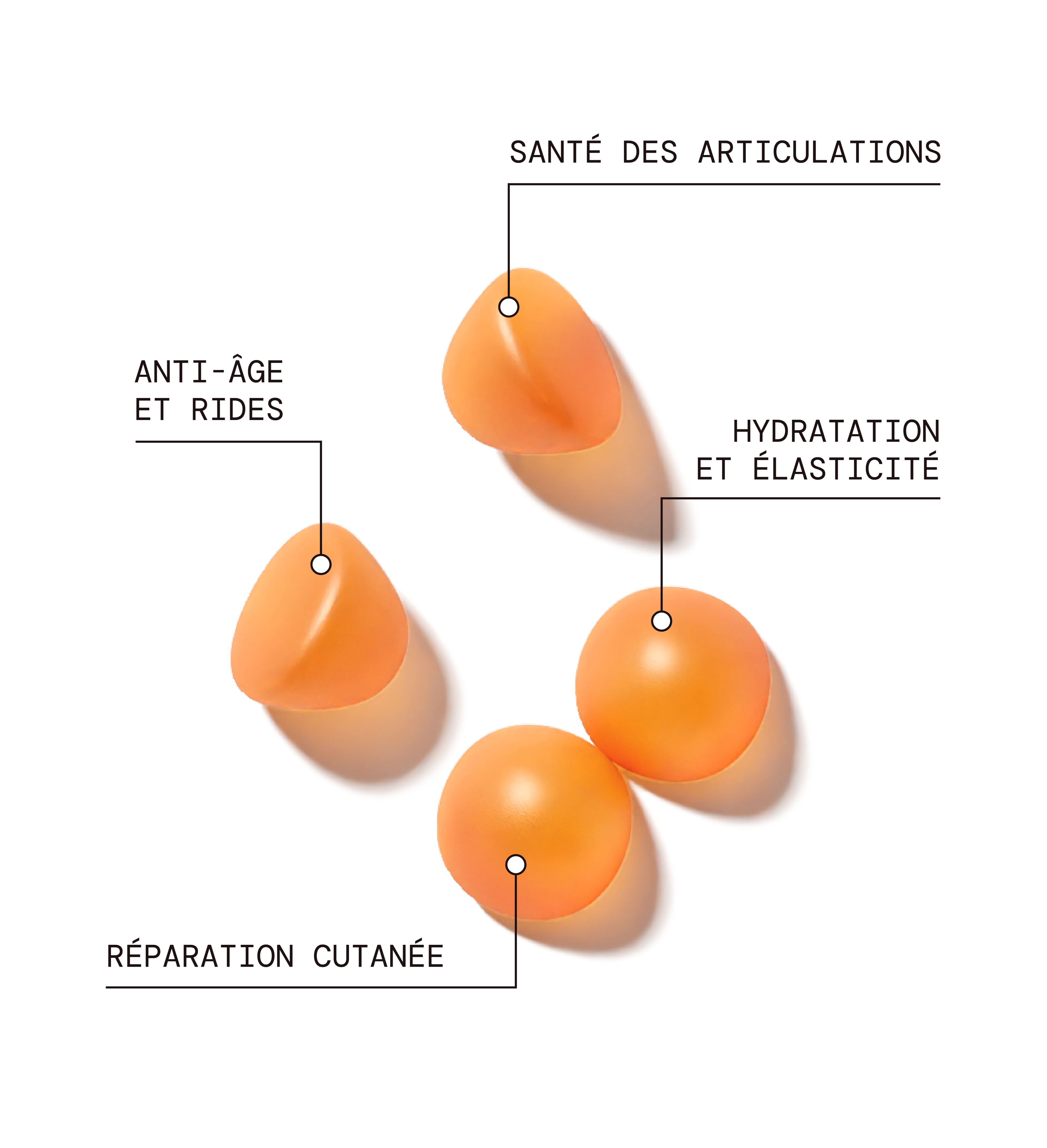 Pack Glow Up : Acide Hyaluronique, Collagène Vg, Cheveux & Ongles
