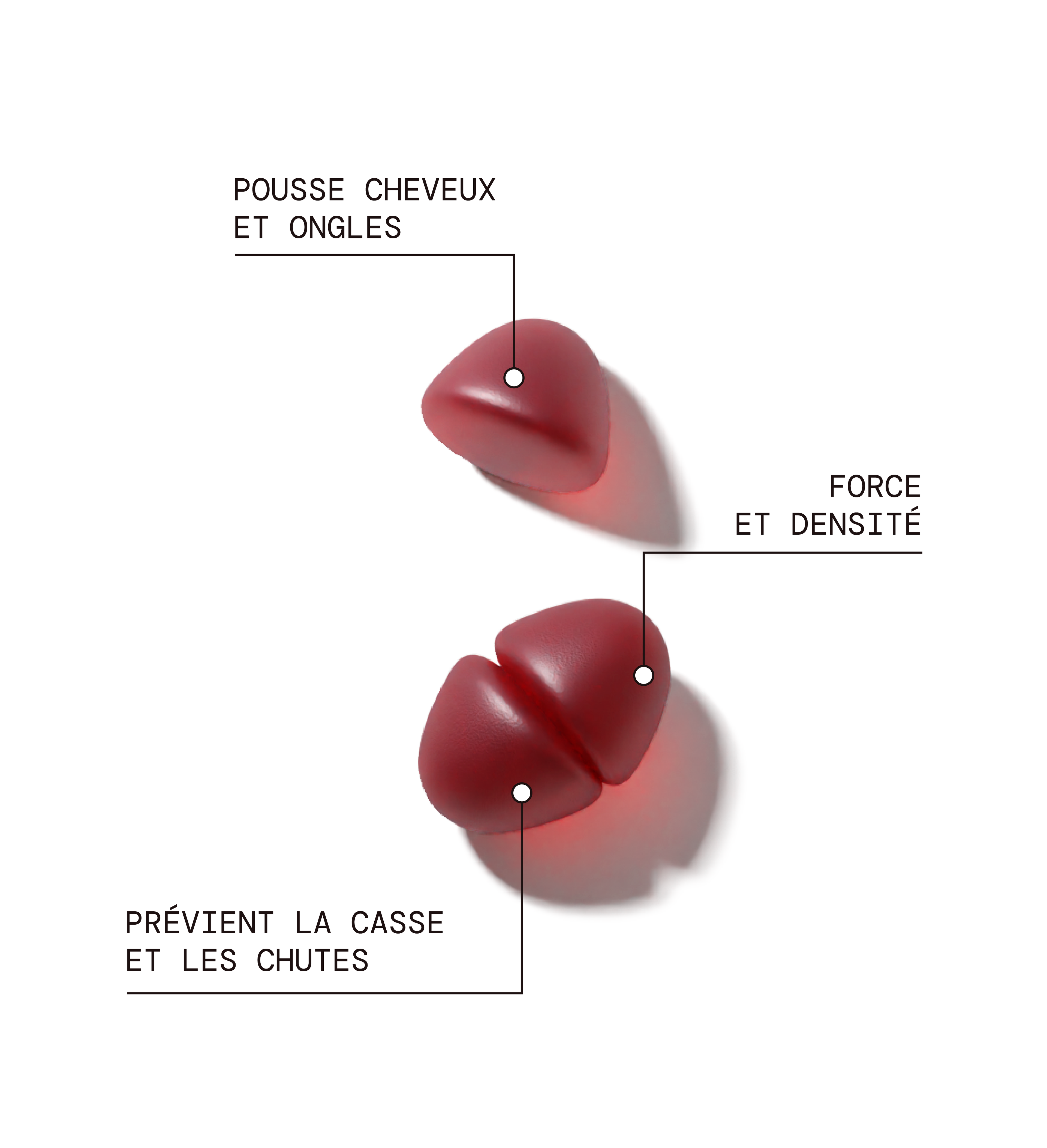 Pack Glow Up : Acide Hyaluronique, Collagène Vg, Cheveux & Ongles