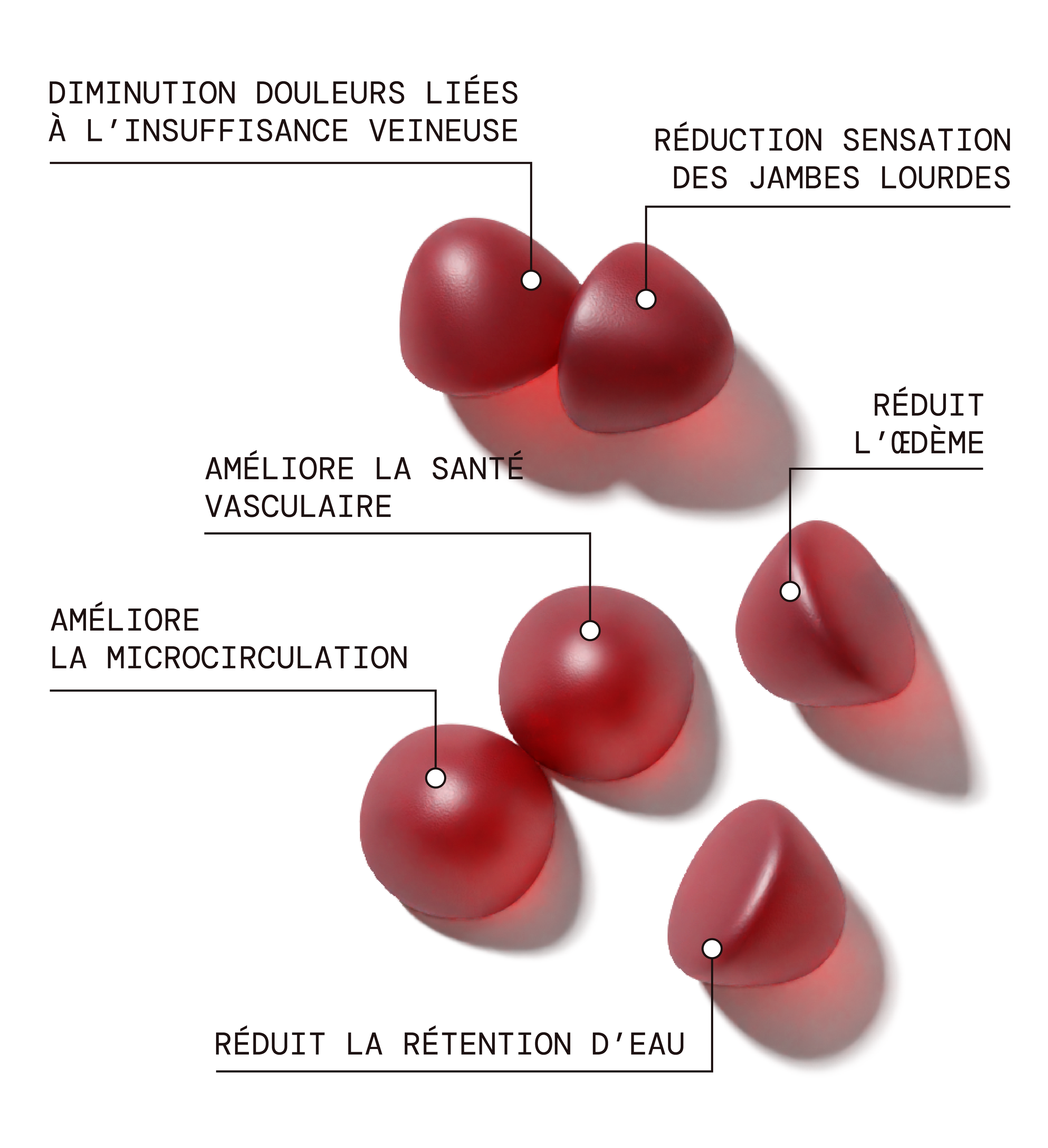 Circulation - Jambes Légères