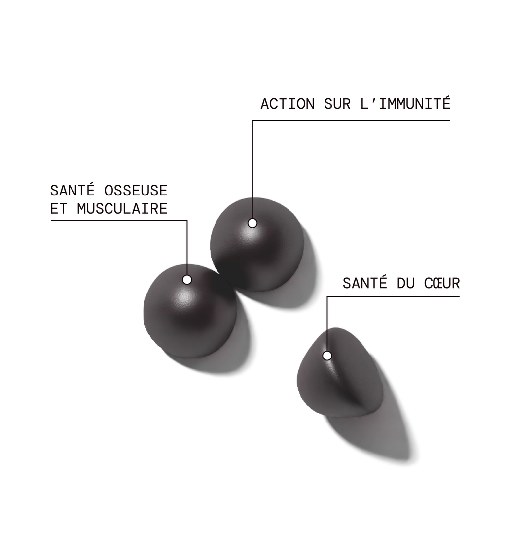 Fer - Fatigue & Immunité