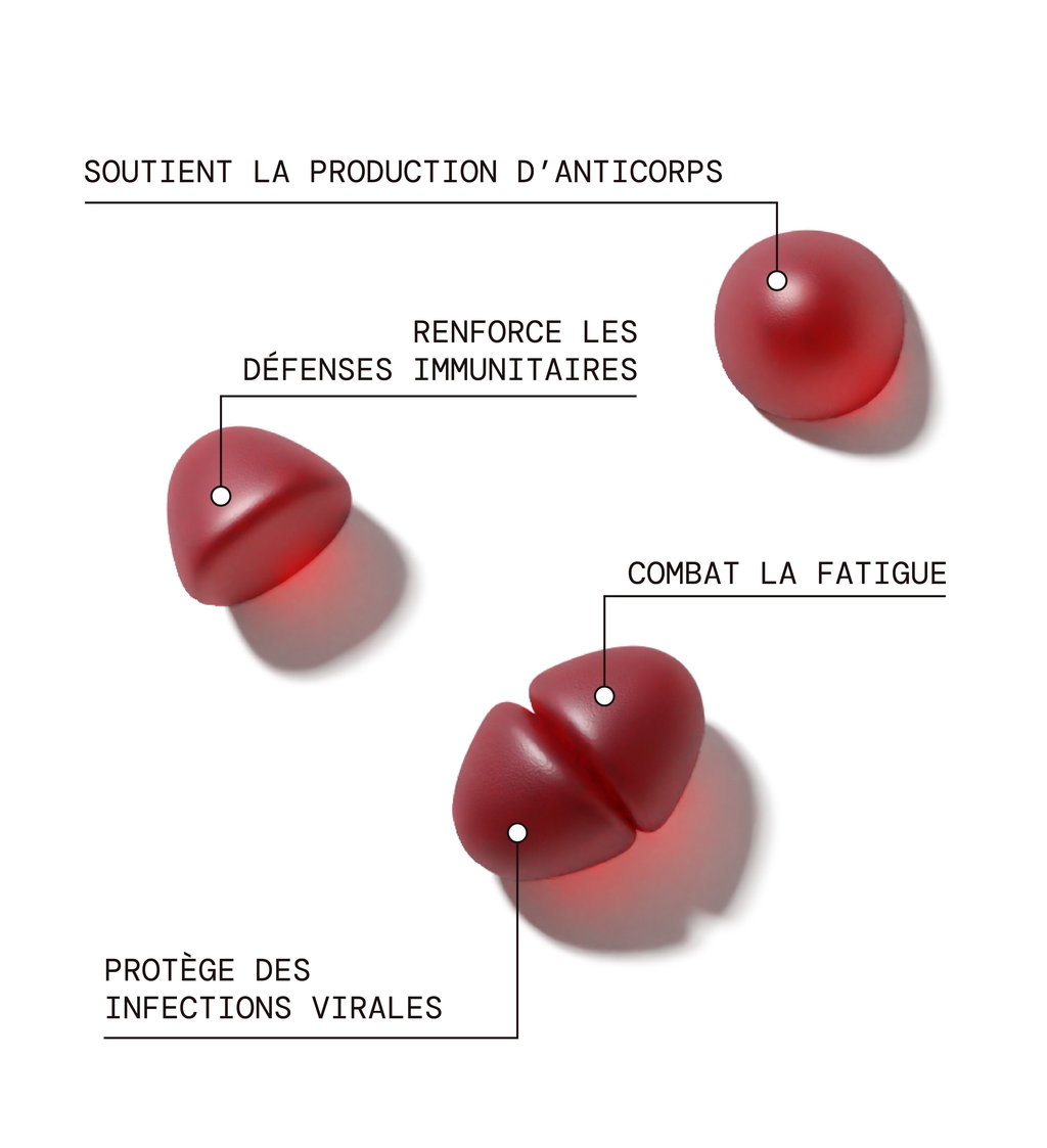 Immunité - Soutien Du Système Immunitaire