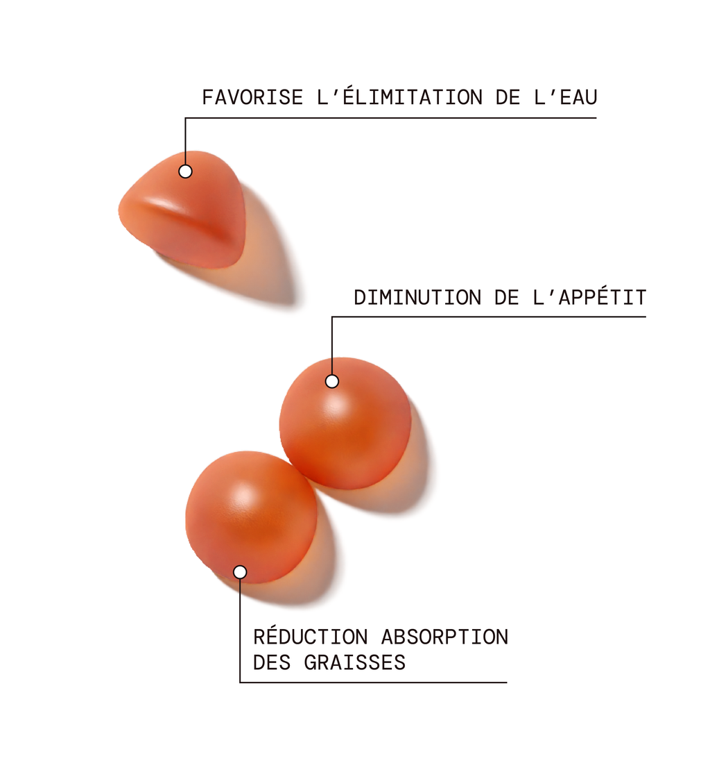 Minceur - Élimination & Réduction De L’Absorption Des Graisses
