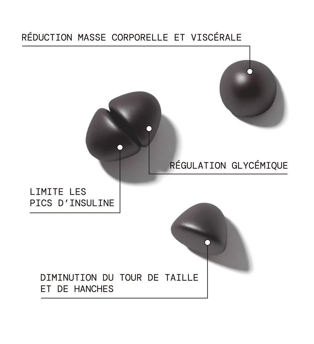 Morosil Ultra Slim - Brûle-Graisse & Régulation Du Poids