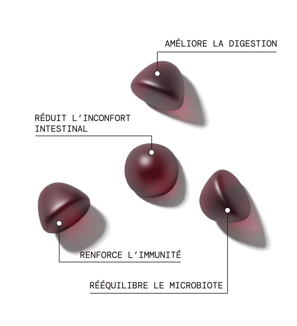 Probiotiques - Inconforts Digestifs