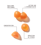 Pack Équilibre Émotionnel : Safran B6, Sommeil, Magnésium, Stress