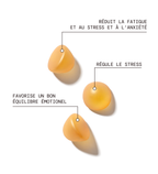Pack Équilibre Émotionnel : Safran B6, Sommeil, Magnésium, Stress