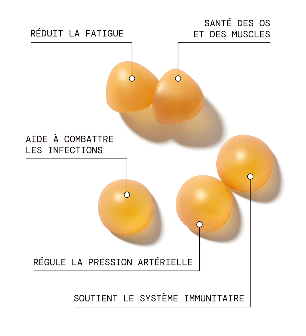 Vitamine D - Défenses Immunitaires & Tonus Musculaire