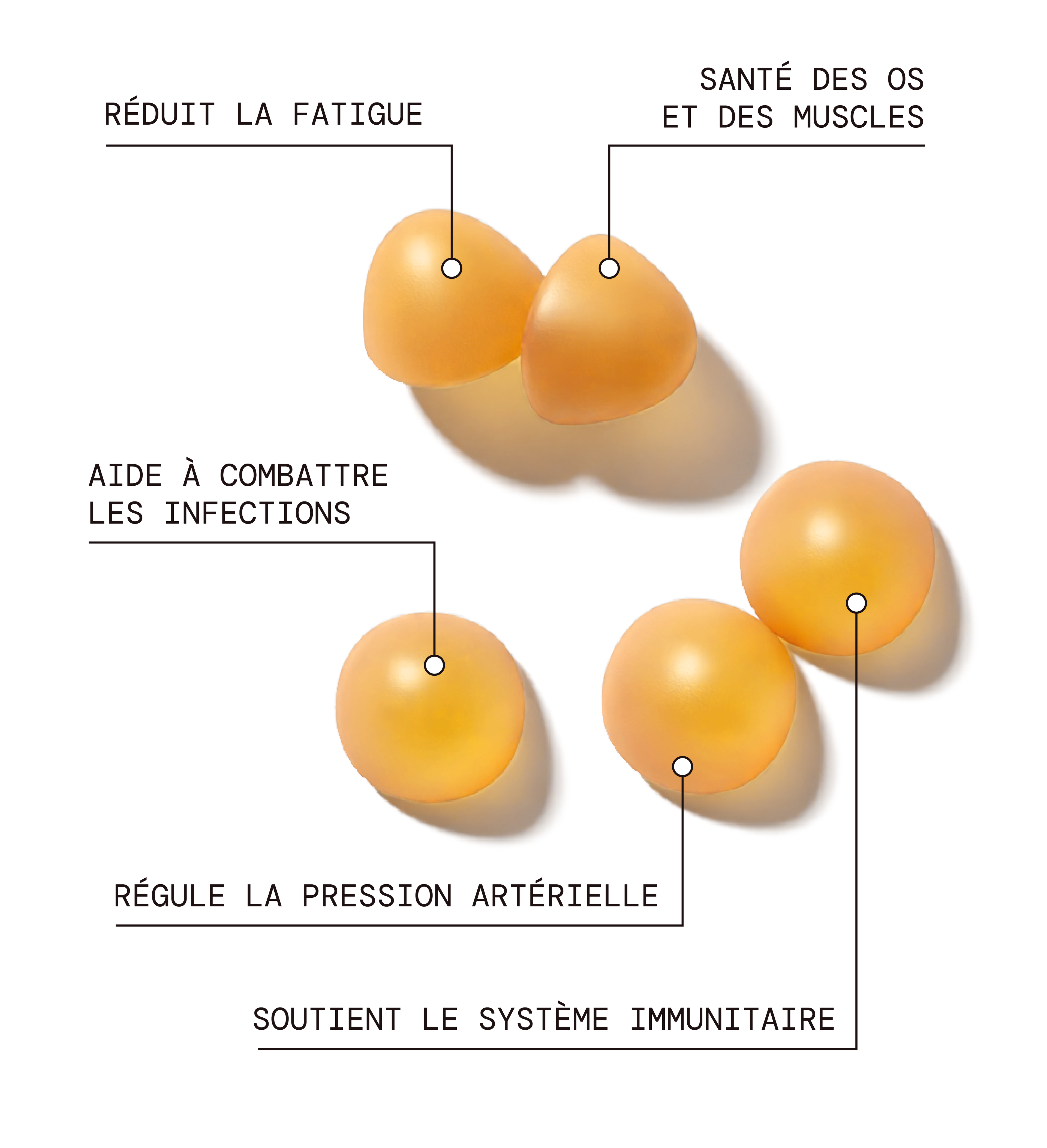Vitamine D - Défenses Immunitaires & Tonus Musculaire