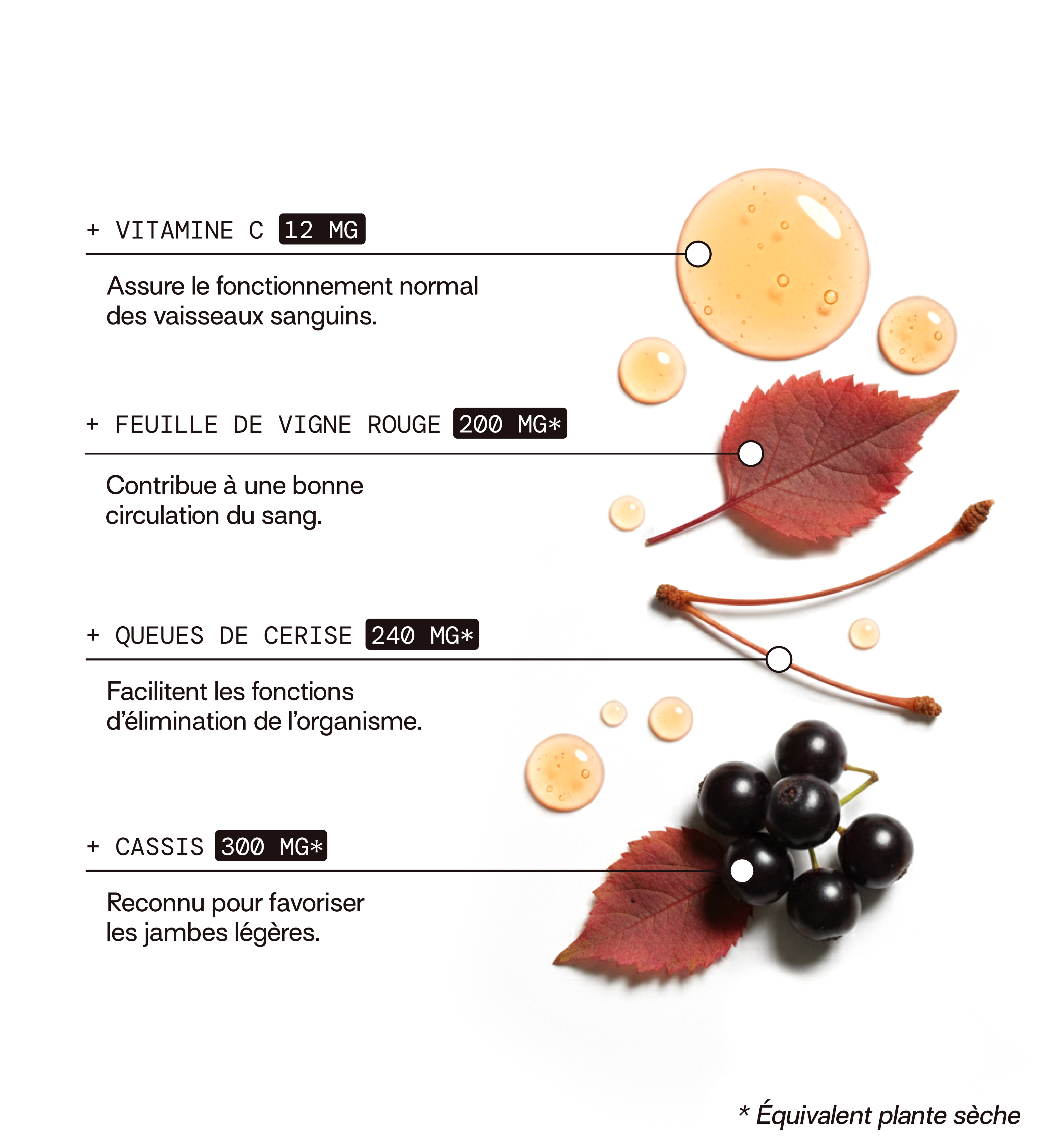 Circulation - Jambes Légères