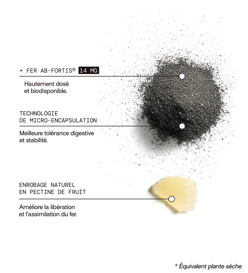Fer - Fatigue & Immunité