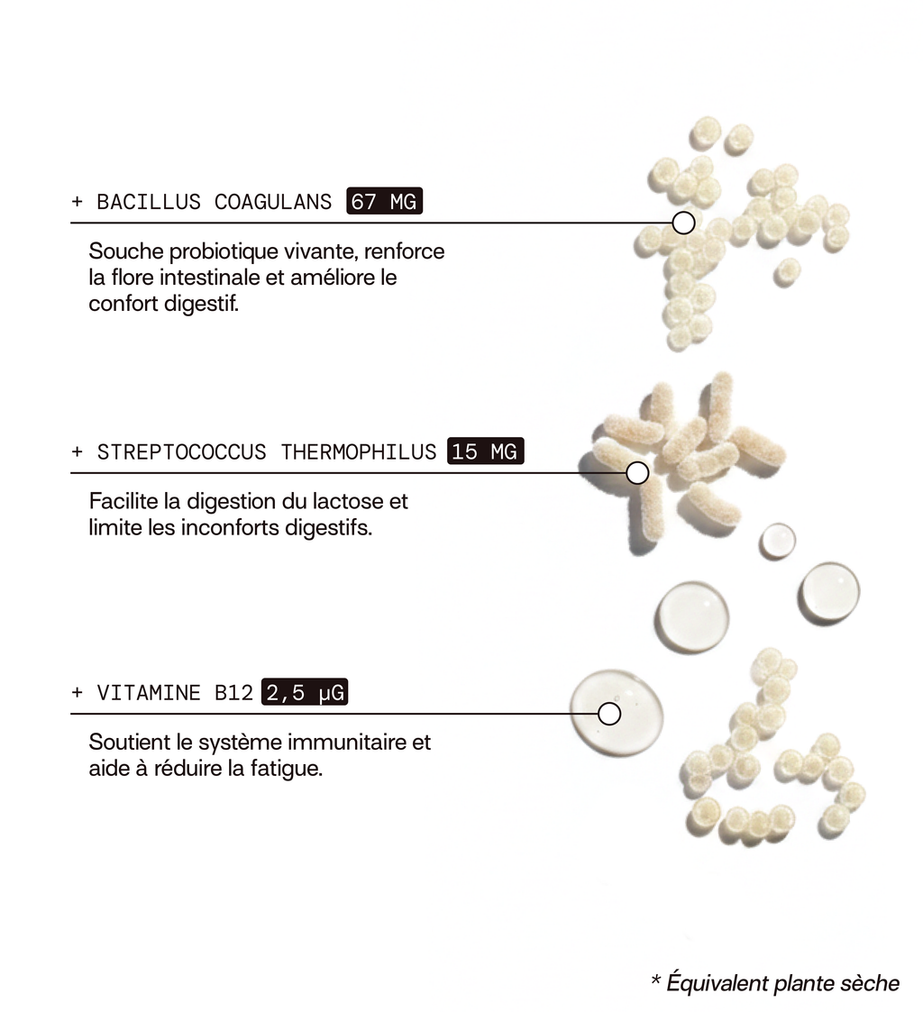 Probiotiques - Inconforts Digestifs
