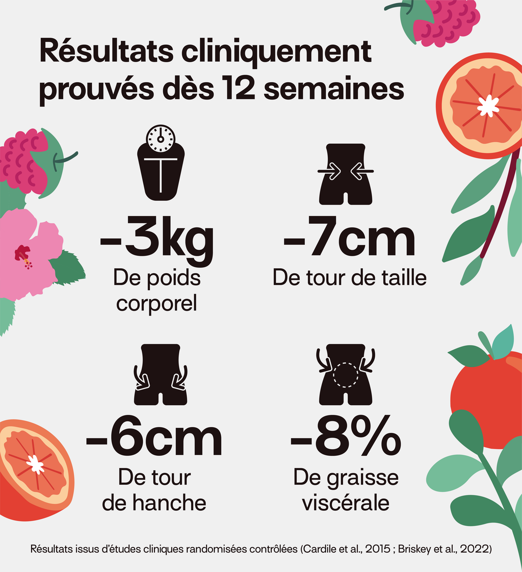 Morosil Ultra Slim - Brûle-Graisse & Régulation Du Poids