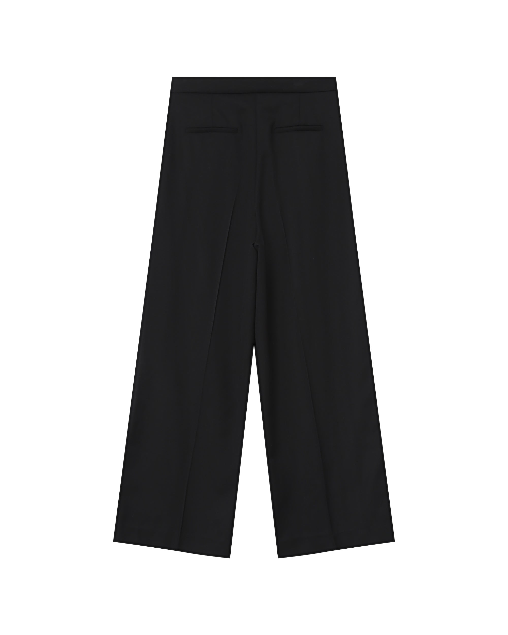 Pantalon Tailleur Noir Strokes