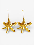 Boucles D'Oreilles Jázmin