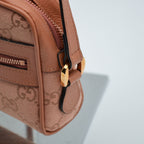 Gucci Ophidia Mini Crossbody