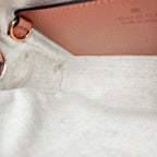 Gucci Ophidia Mini Crossbody