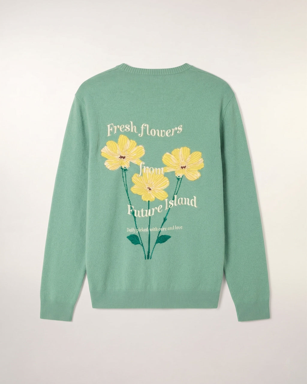 Pull Col Rond Motif Jacquard Et Broderie