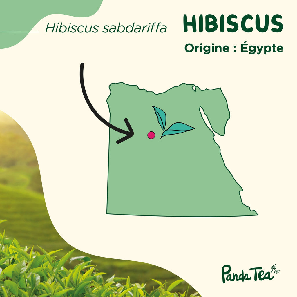 Fleurs D'Hibiscus Séchées Bio