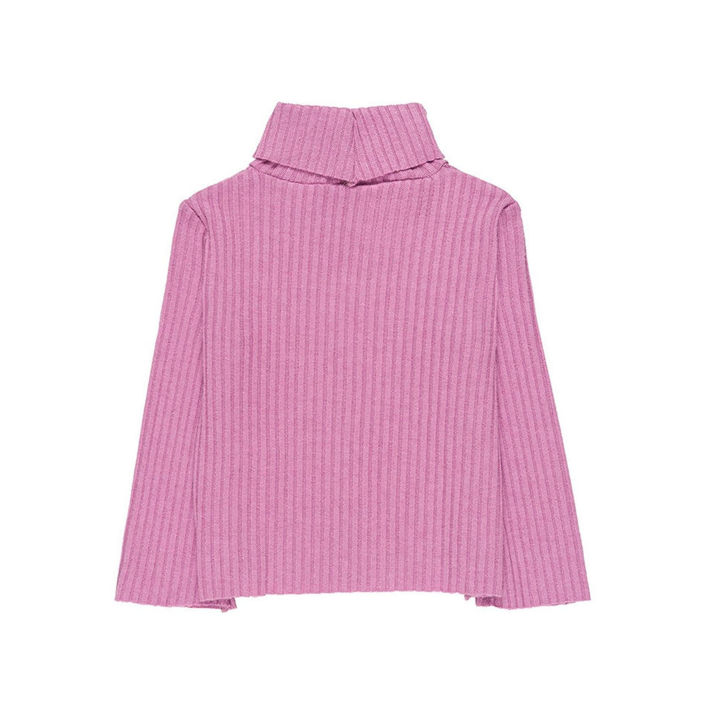 Pull À Col Roulé Côtelé Lilas