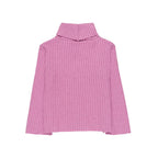 Pull À Col Roulé Côtelé Lilas