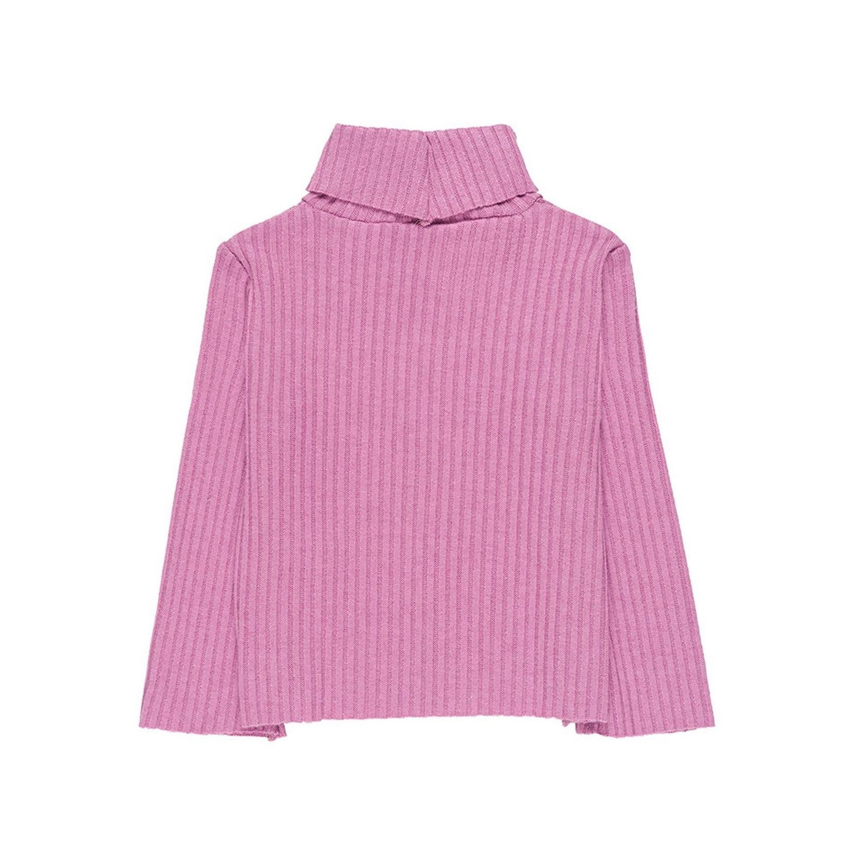 Pull À Col Roulé Côtelé Lilas