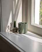 Aroma diffuser Wakame - SUITE702