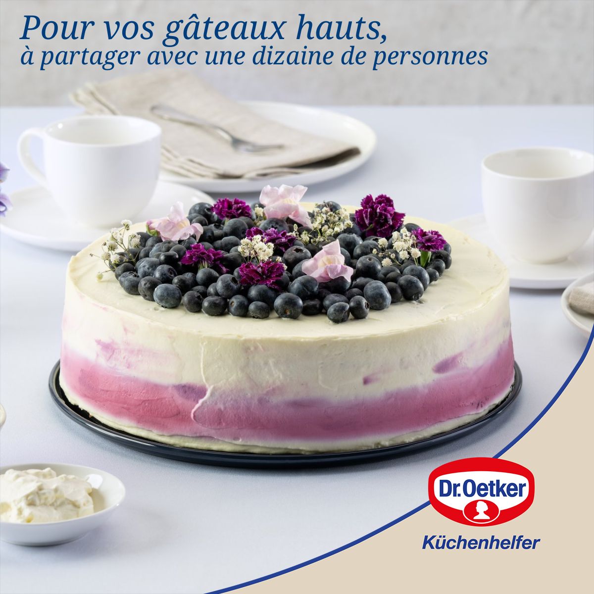 Dr Oetker - Moule À Manqué À Charnière 26 Cm Dr.Oetker Back Liebe - Bleu
