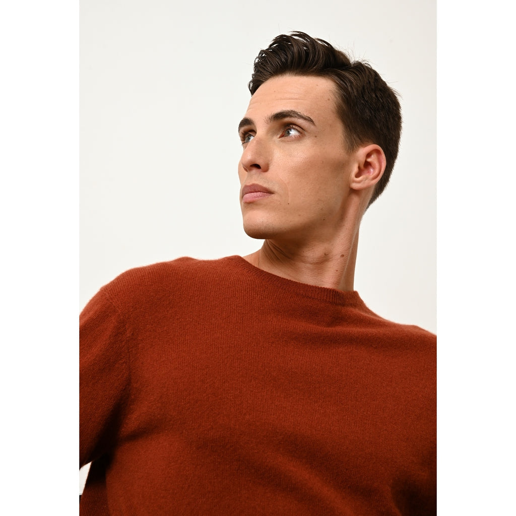 Pull Col Rond Howard - 100% Cachemire 2 Fils - Écureuil - Homme