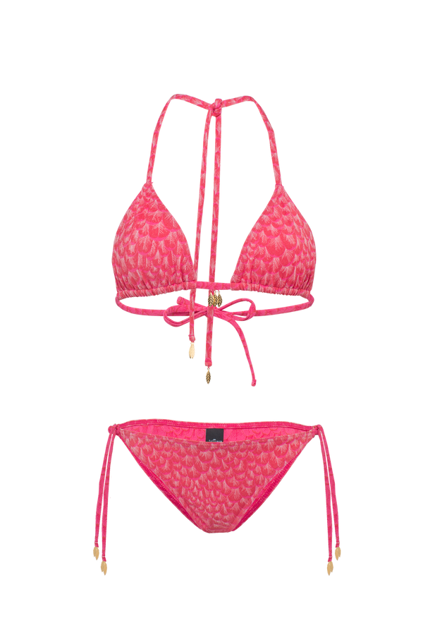 Je Te Plumerai Rose