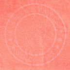 Tee-Shirt Crop Logo - Rose Fluo - Fille