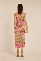 Robe Kennedy - La Selva