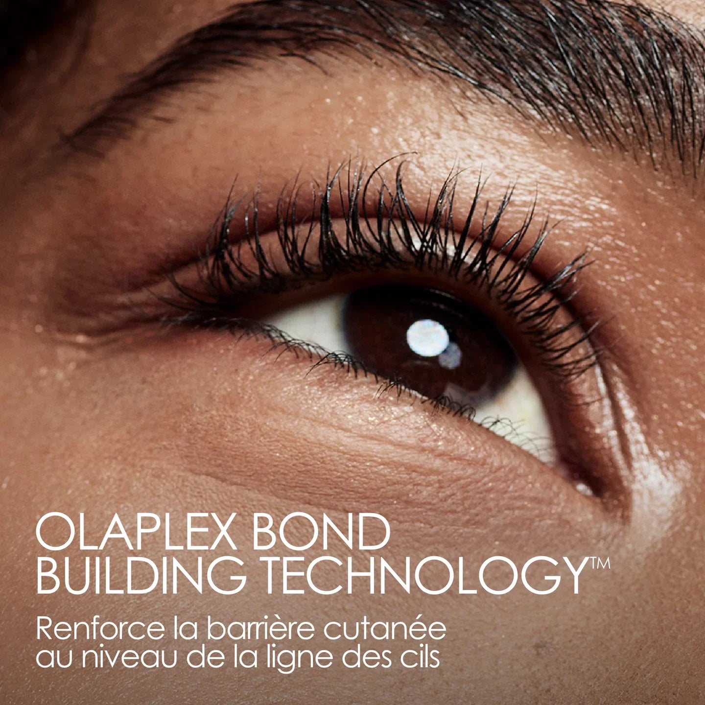 Lashbond Building Serum